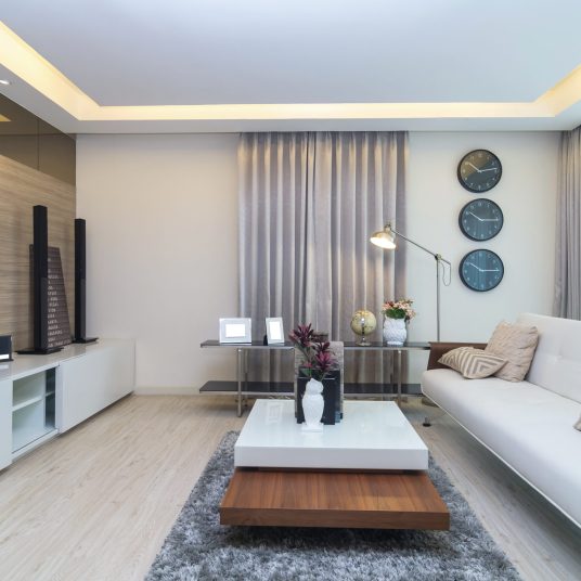 Luxury Interior living room